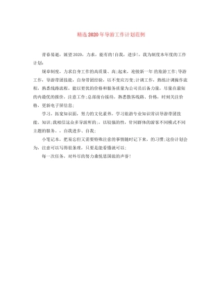 精选年导游工作计划范例