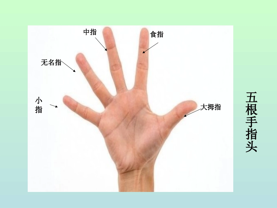 小学写字课《写一手漂亮的字》PPT课件_第3页