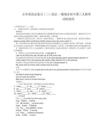 小学英语总复习（二）一般现在时