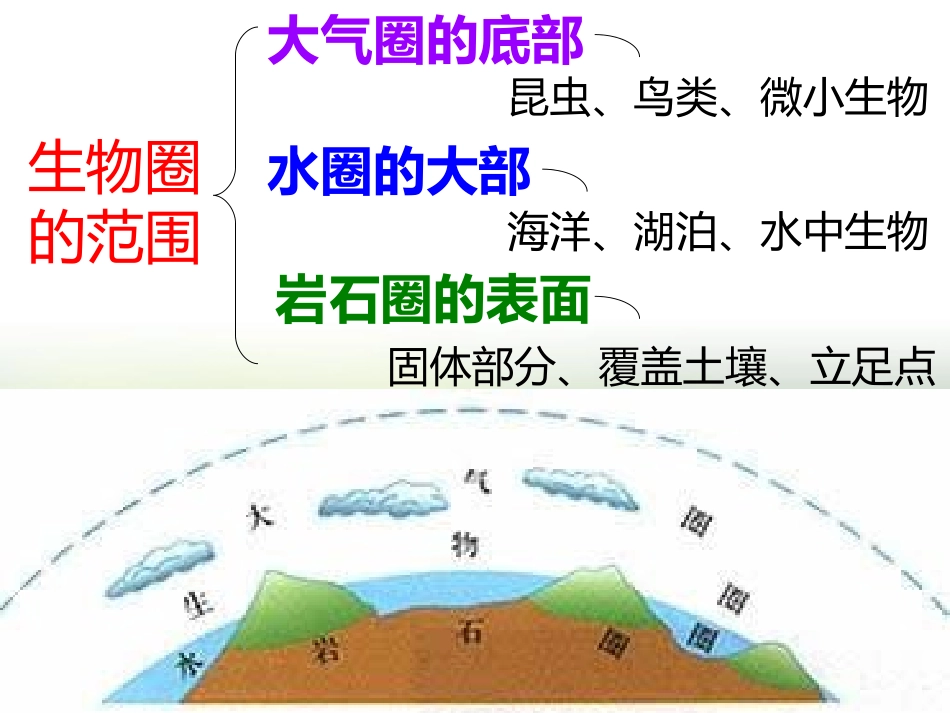 《生物圈是最大的生态系统》PPT课件_第3页