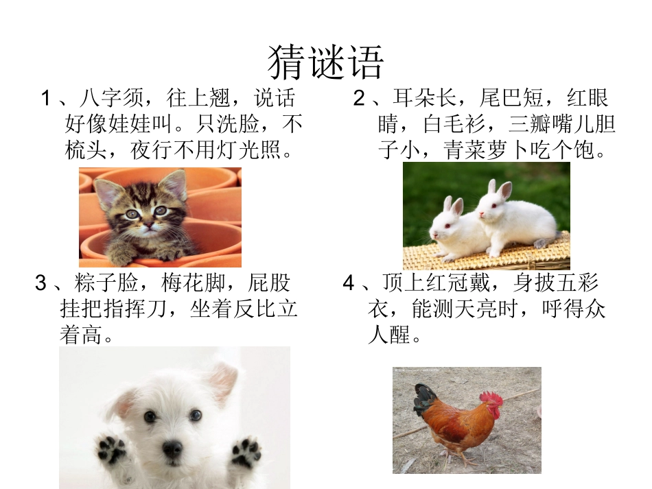 我和动物的故事作文指导_第1页
