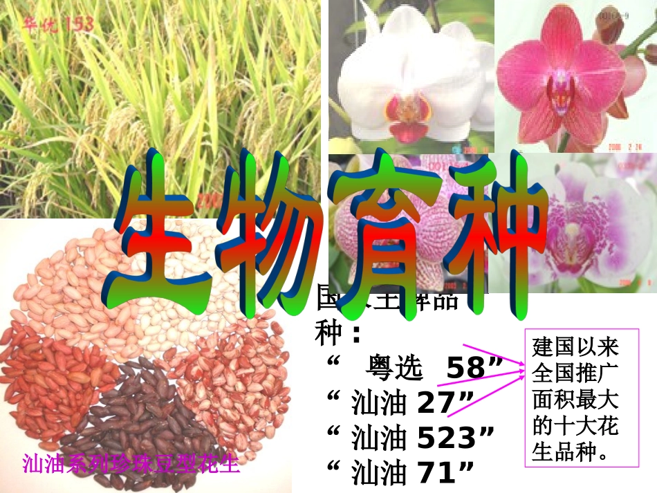 生物育种（一轮课件）_第3页
