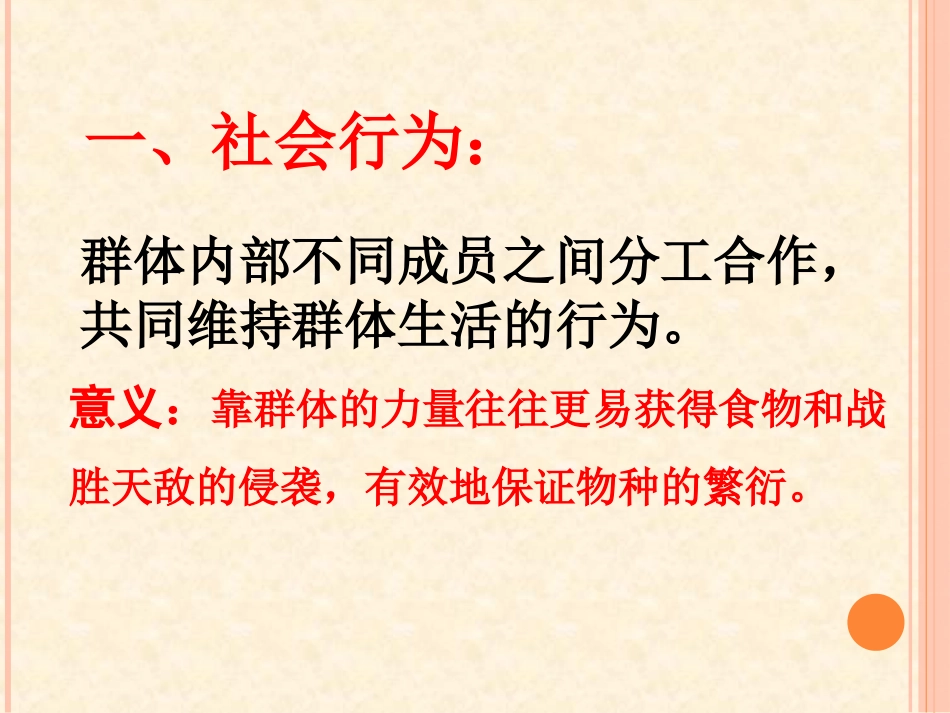 《社会行为》课件4_第2页