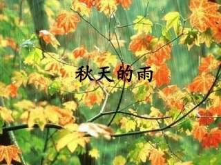 人教版三年级上册《秋天的雨》课件