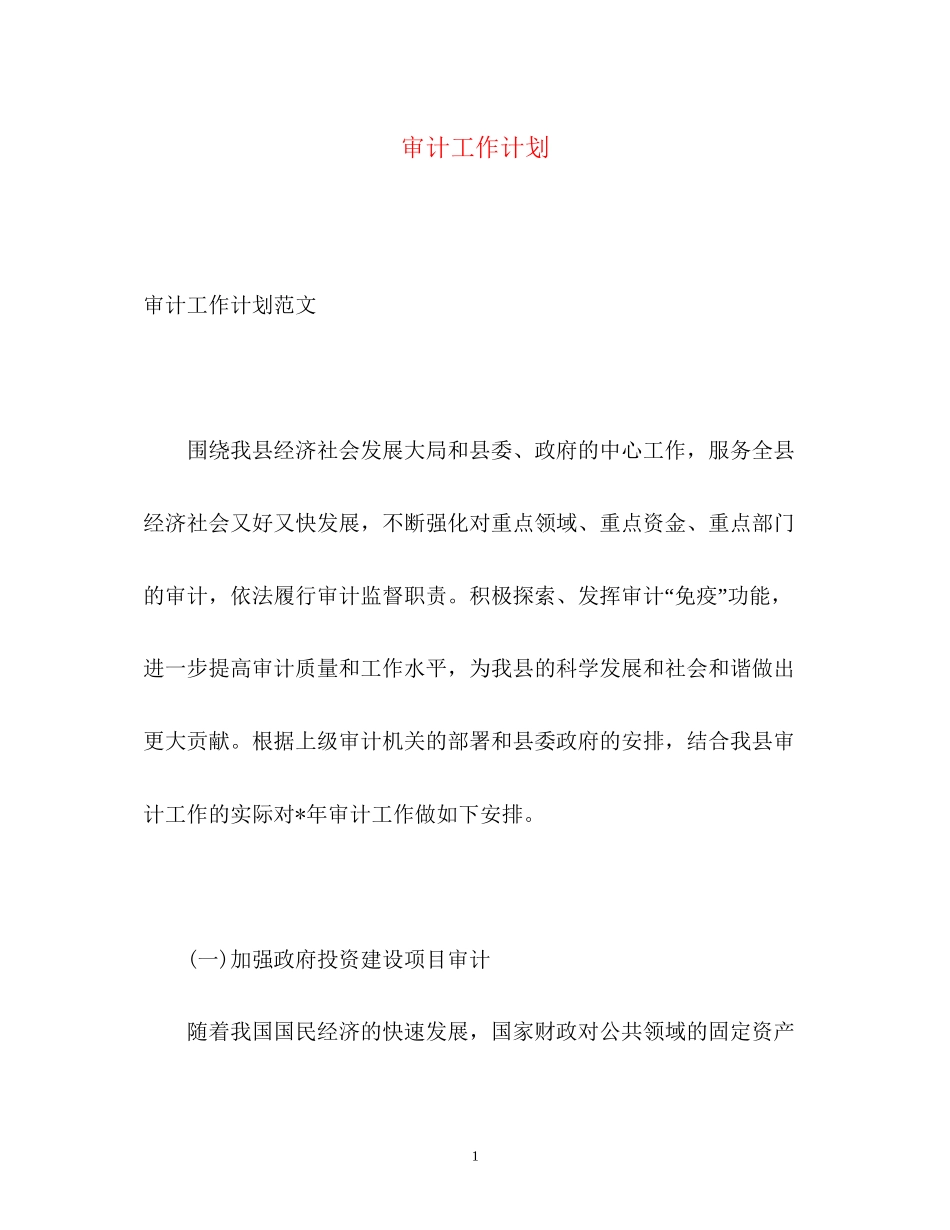 审计工作计划22_第1页