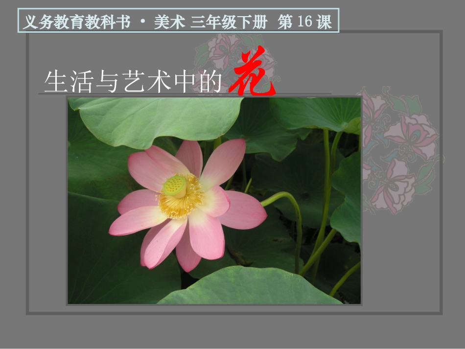 《生活与艺术中的花》_第1页