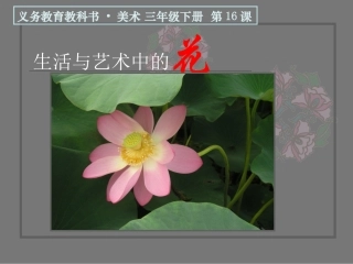 《生活与艺术中的花》