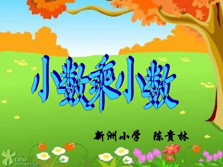 小数乘小数 (3)_第1页