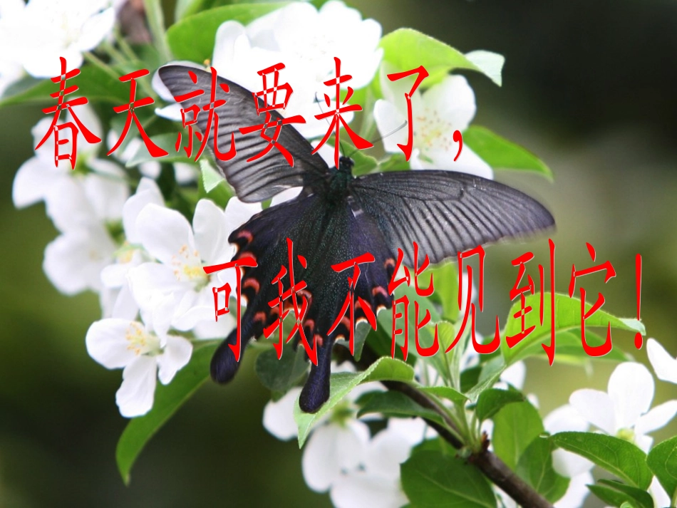 《作文指导——联想_想象》_第1页