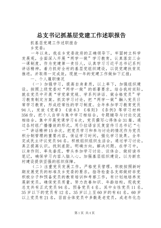 总支书记抓基层党建工作述职报告