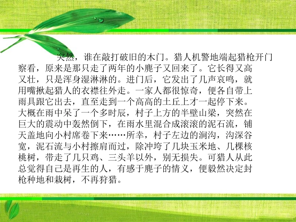 《善待生命__学习论证》课件(2)_第3页