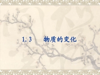 物质的变化课件