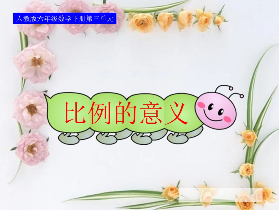 比例的意义 (3)_第2页