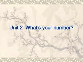 四年级上册英语Unit2Lesson8课件