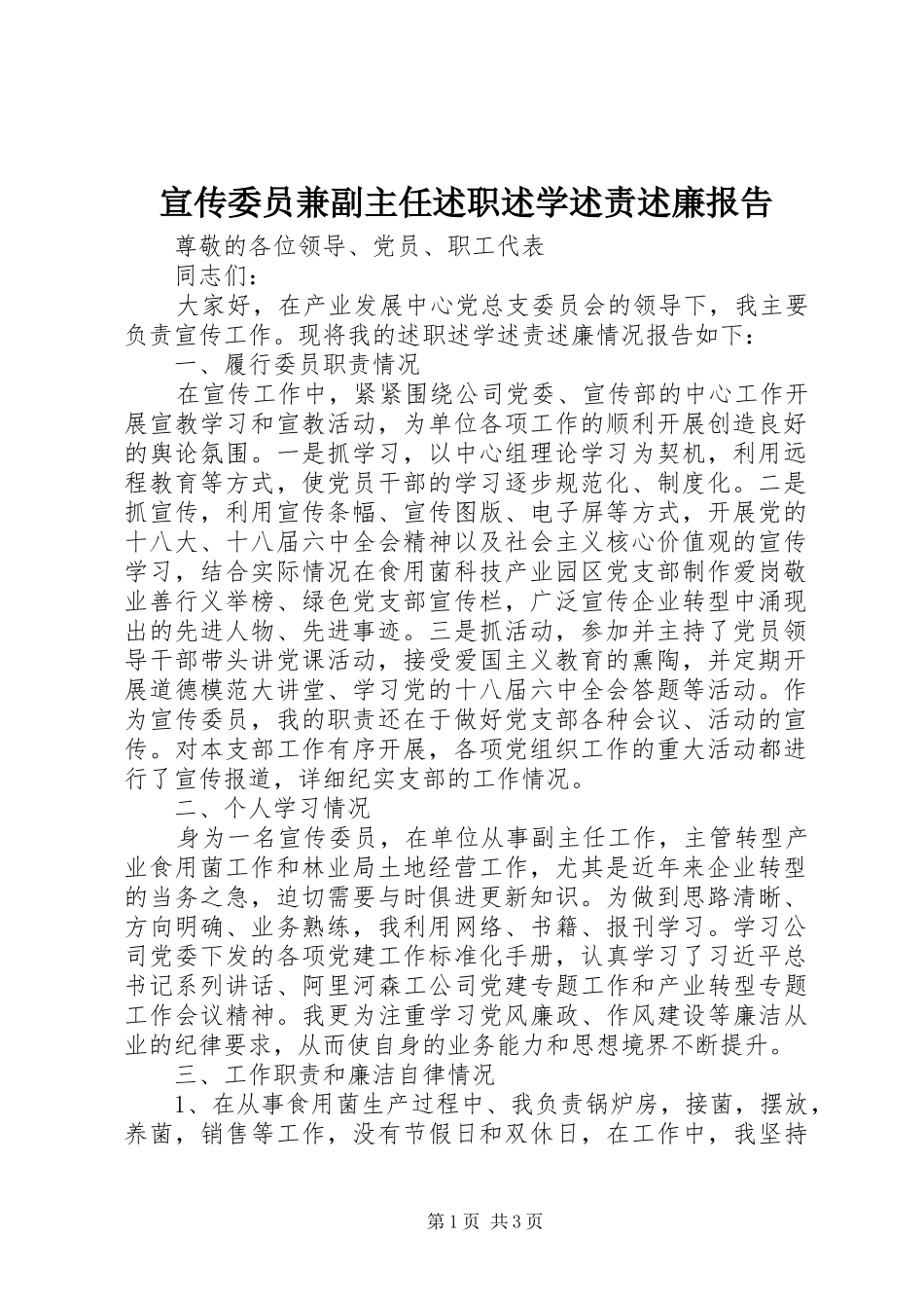 宣传委员兼副主任述职述学述责述廉报告_第1页
