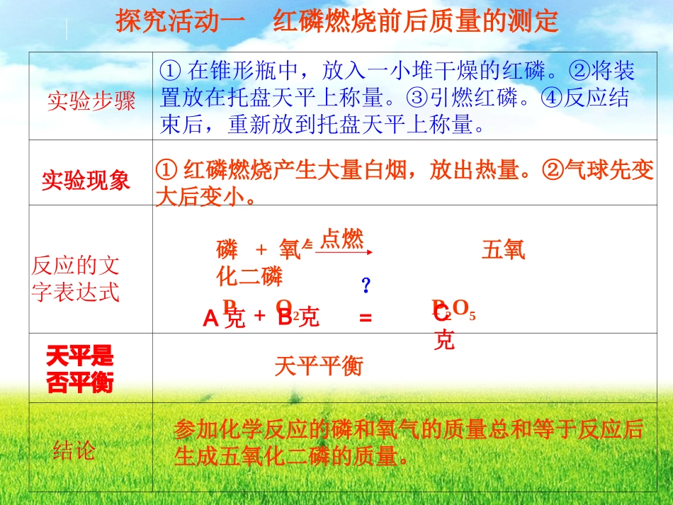 质量守恒定律 (3)_第3页