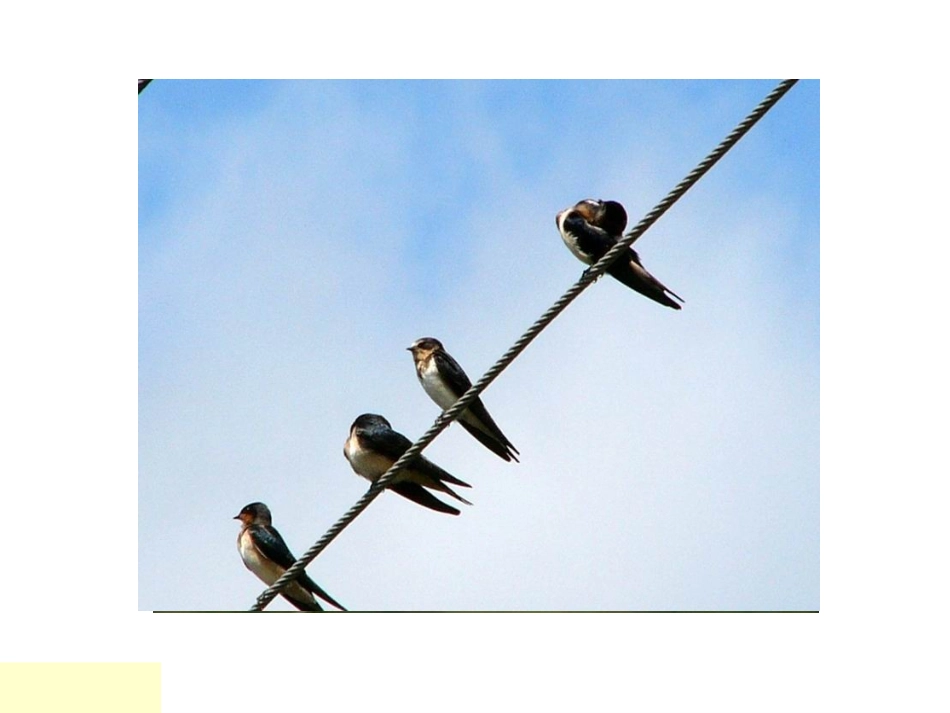 沪江小学资源网_6燕子专列_2013011625552007_444_第2页