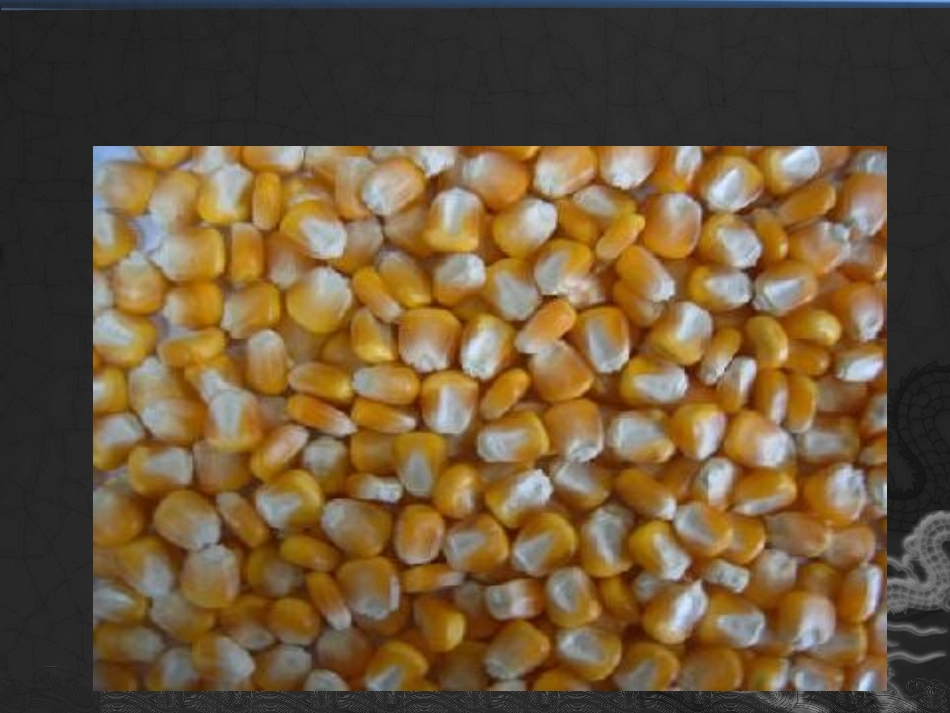 把种子散播到远处-_第3页