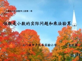 小数验算(例5)