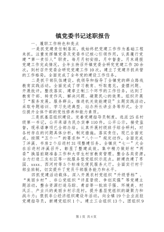 镇党委书记述职报告 (45)