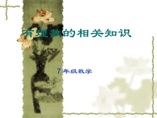 有理数的相关知识