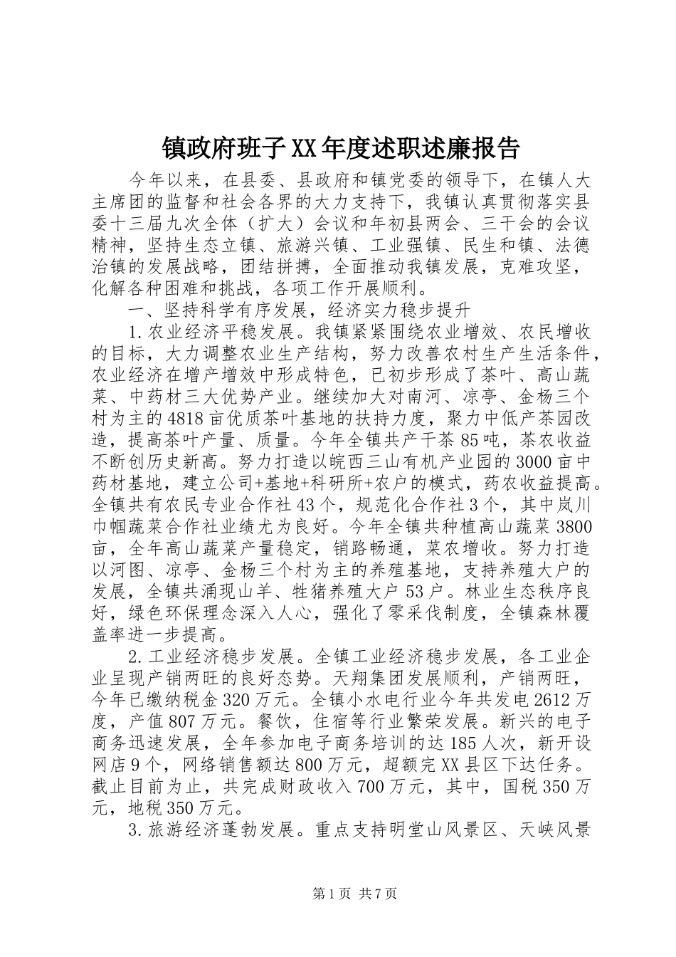 镇政府班子XX年度述职述廉报告_第1页