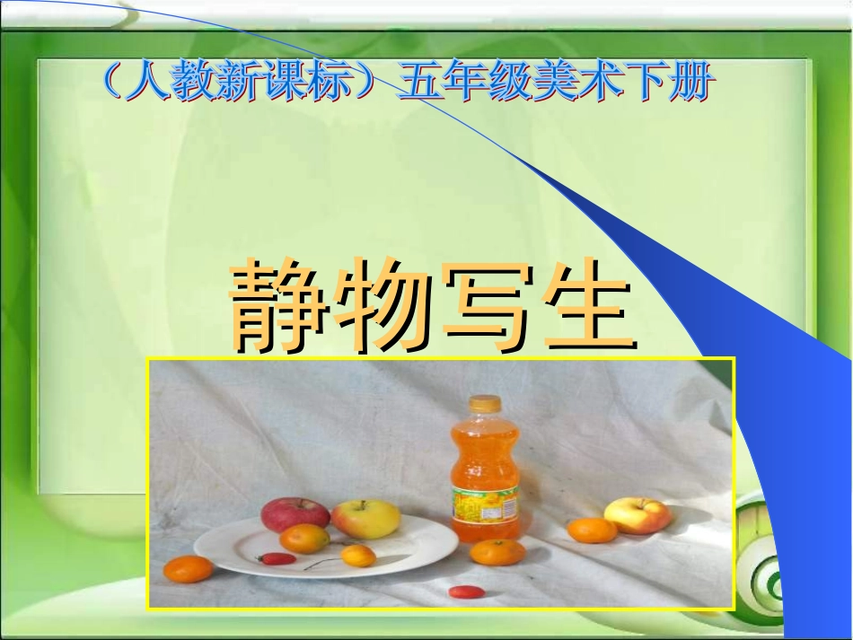 人教美术五下《静物写生》PPT课件_第1页
