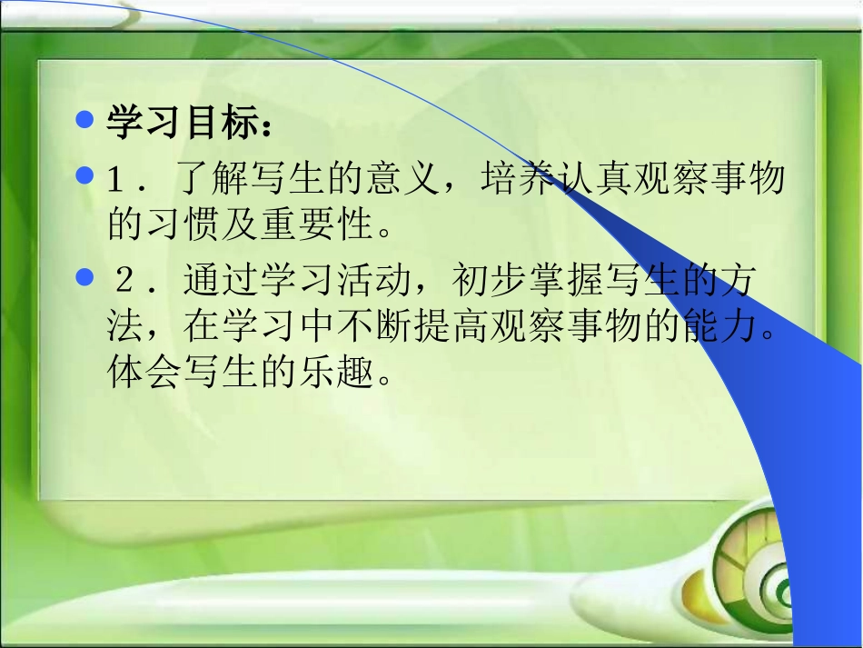 人教美术五下《静物写生》PPT课件_第2页