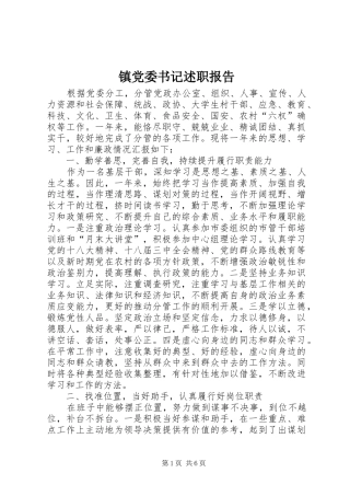 镇党委书记述职报告 (31)