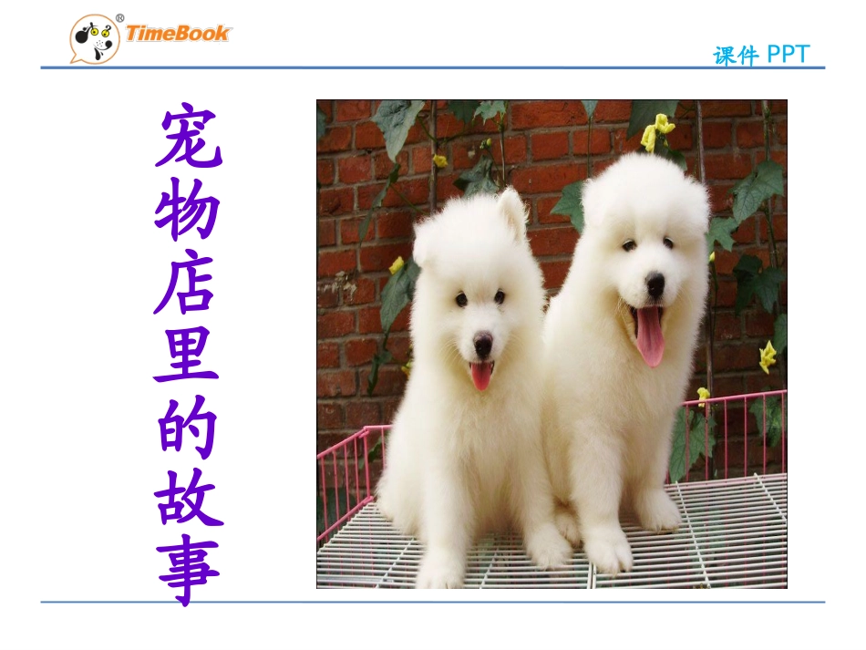 吉林版语文二年级下册《宠物店里的故事》_第3页