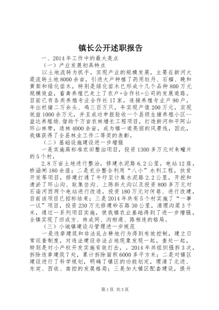 镇长公开述职报告