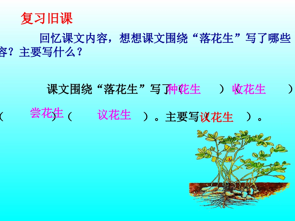 五语上《落花生》课件_第2页