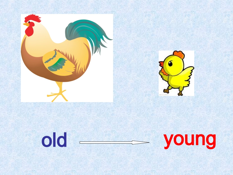 五年级上_unit1_my_new_teachers_第1页