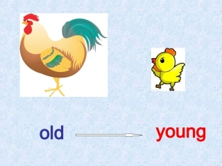 五年级上_unit1_my_new_teachers