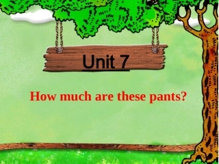 How_much_are_these_pants_section_B_课件