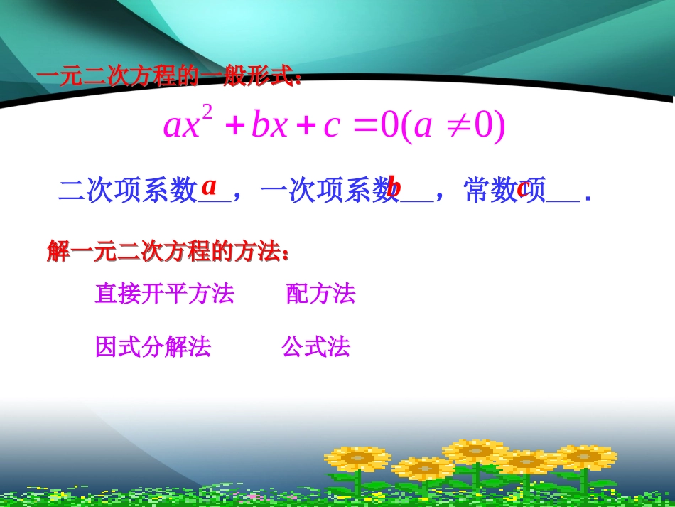 一元二次方程根的判别式_第2页