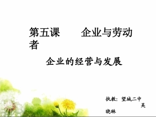 企业的经营与发展（修改中）