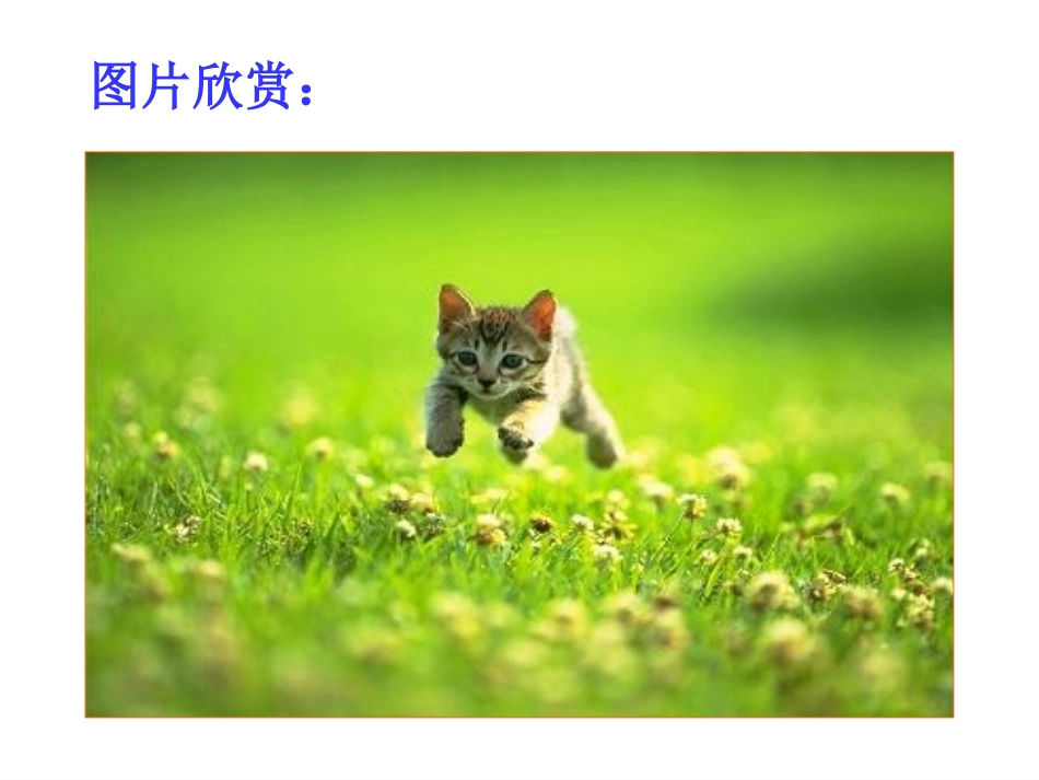 郑振铎《猫》课件(31页)_第3页