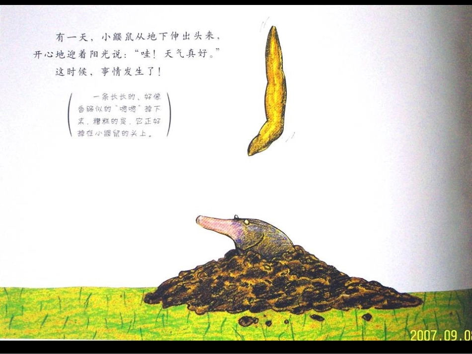 是谁嗯嗯在我头上绘本故事_第3页