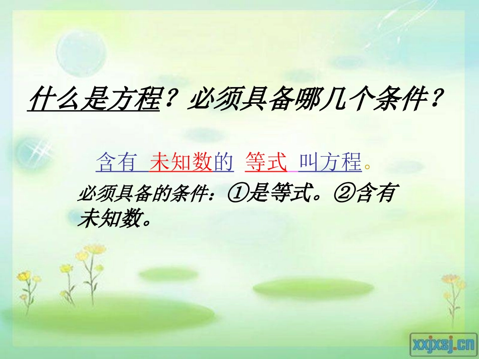 等式的基本性质_人教5年级4单元_第2页