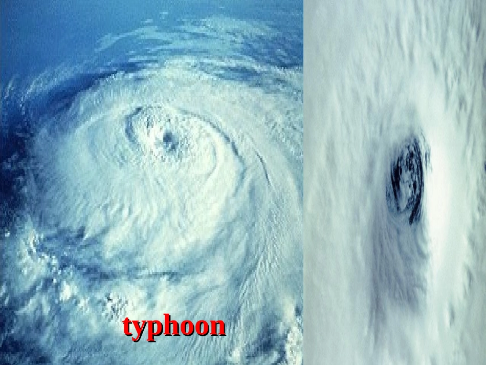 The_power_of_nature公开课_第2页