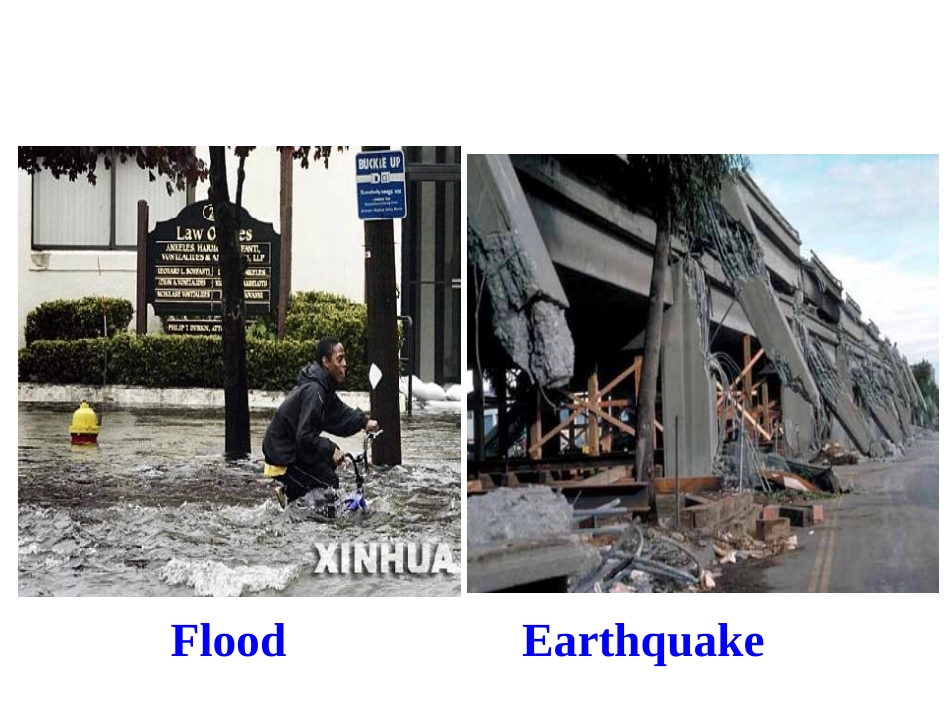 The_power_of_nature公开课_第3页