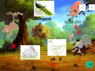 一年级语文《比尾巴》课件