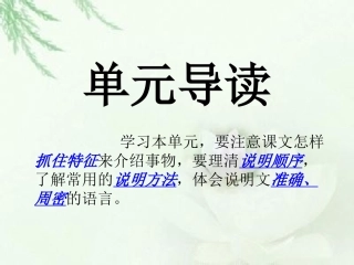 中国石拱桥（曾淑婷）
