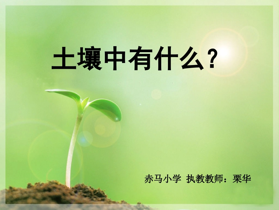 土壤里有什么修改版87_第2页
