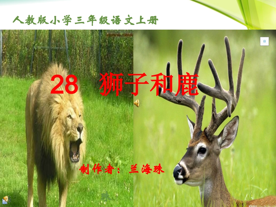 三年级上册28《狮子和鹿》课件_第1页