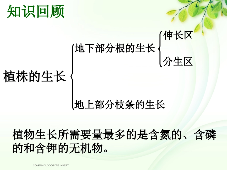 开花和结果课件_第1页