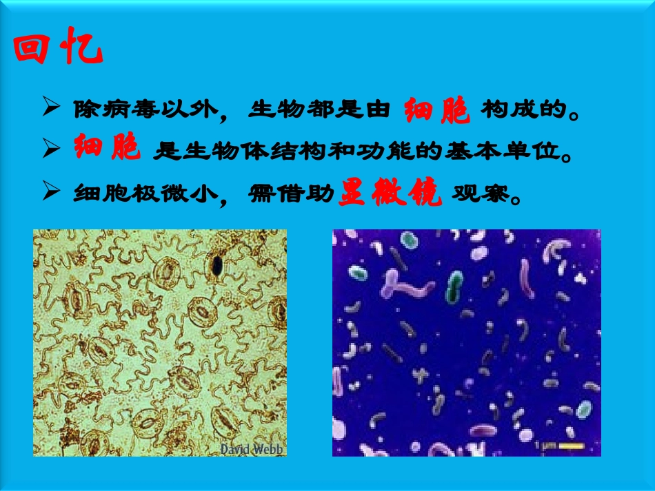 二单元1练习使用显微镜_第1页