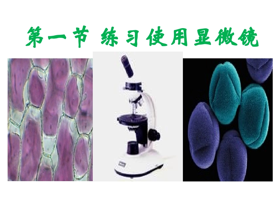 二单元1练习使用显微镜_第2页