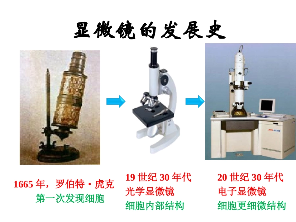 二单元1练习使用显微镜_第3页
